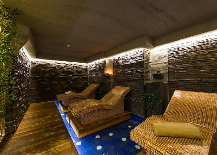 Favori Nisantasi איסטמבול