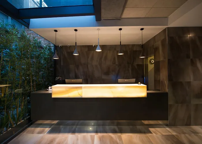 Favori Nisantasi 3* איסטמבול